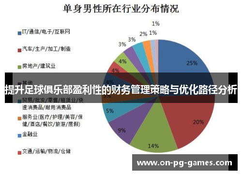 提升足球俱乐部盈利性的财务管理策略与优化路径分析