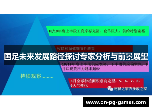 国足未来发展路径探讨专家分析与前景展望