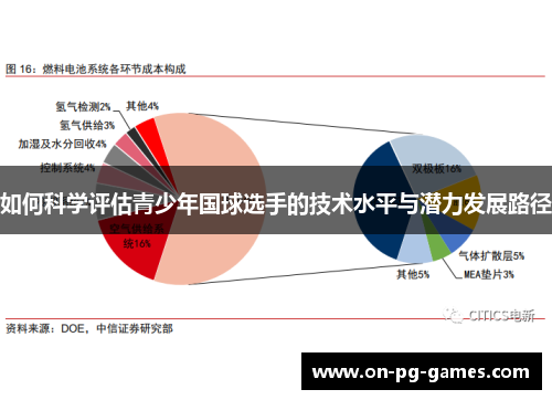 如何科学评估青少年国球选手的技术水平与潜力发展路径
