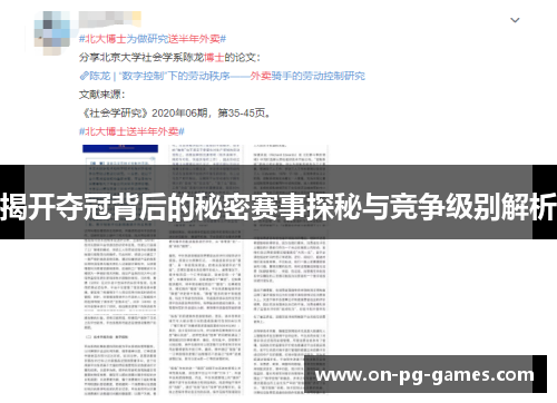 揭开夺冠背后的秘密赛事探秘与竞争级别解析