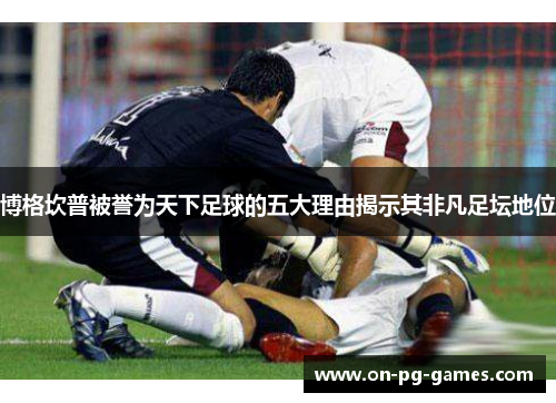 博格坎普被誉为天下足球的五大理由揭示其非凡足坛地位
