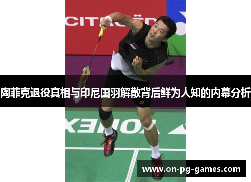 陶菲克退役真相与印尼国羽解散背后鲜为人知的内幕分析